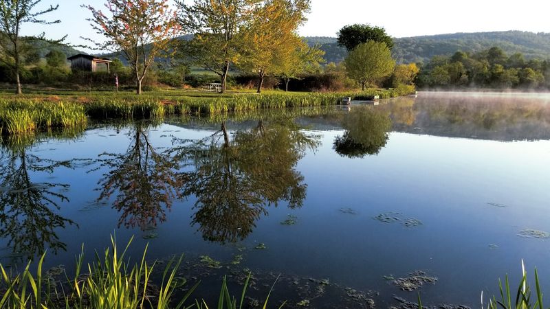 A Wealthy Virginia Philanthropist Donated 1,100 Acres Of Farmland And Turned It Into A Scenic Public Escape - Decor Hint Pack A Lunch And Bring A Fishing Pole
