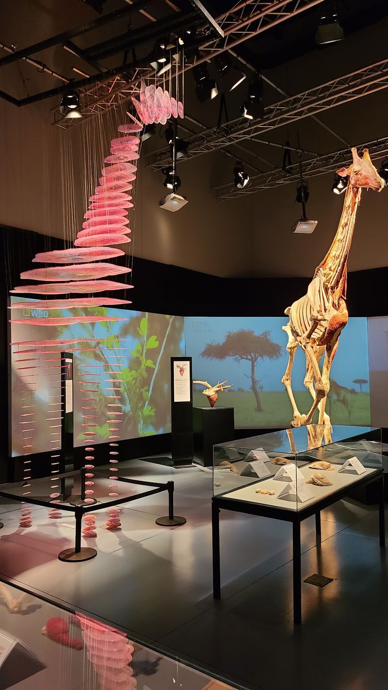 Rotating Exhibits That Keep Return Trips Fresh