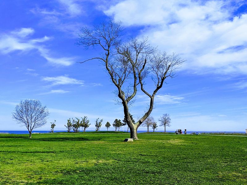Disc Golfers And Model Pilots Get Their Own Playgrounds