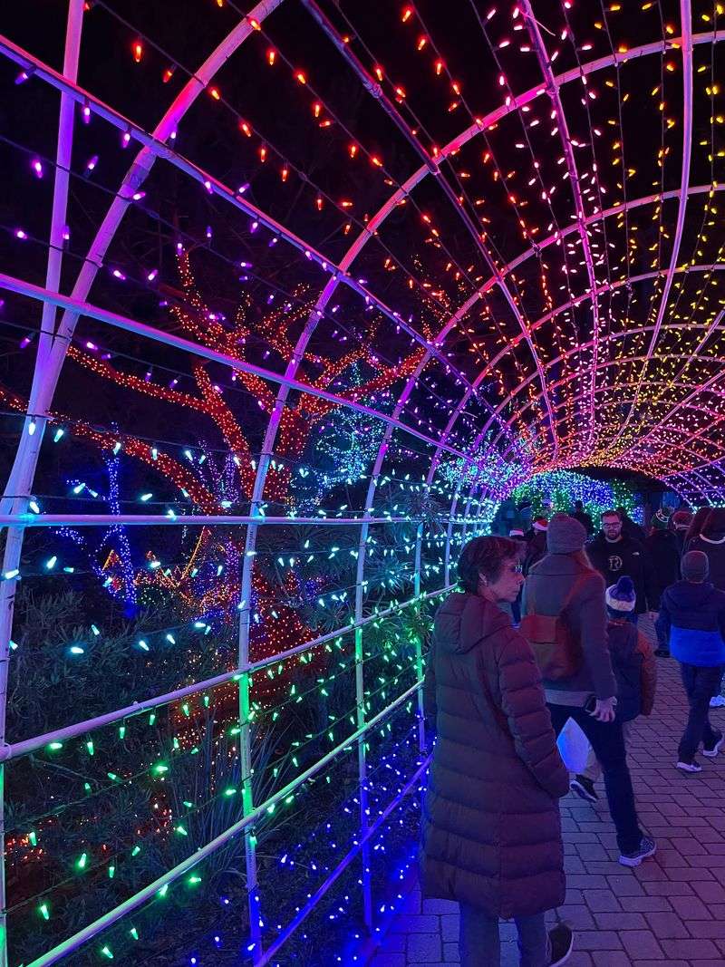 This German-Inspired California Christmas Market Has 3 Million Twinkling Lights And Old-World Holiday Magic - Decor Hint The Rainbow Tunnel Is One Of The Most Colorful Attractions