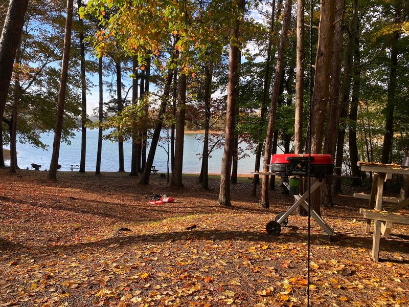 Stretch The Fun With A Lakeside Campsite