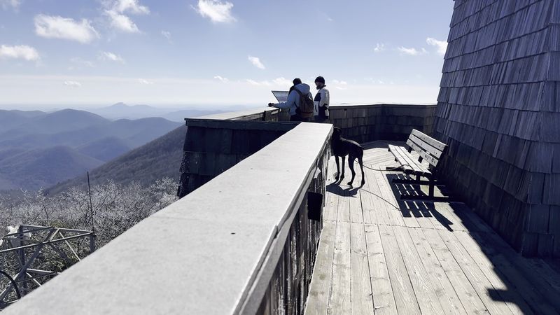 Pack A Lunch Worth Eating At Four Thousand Feet