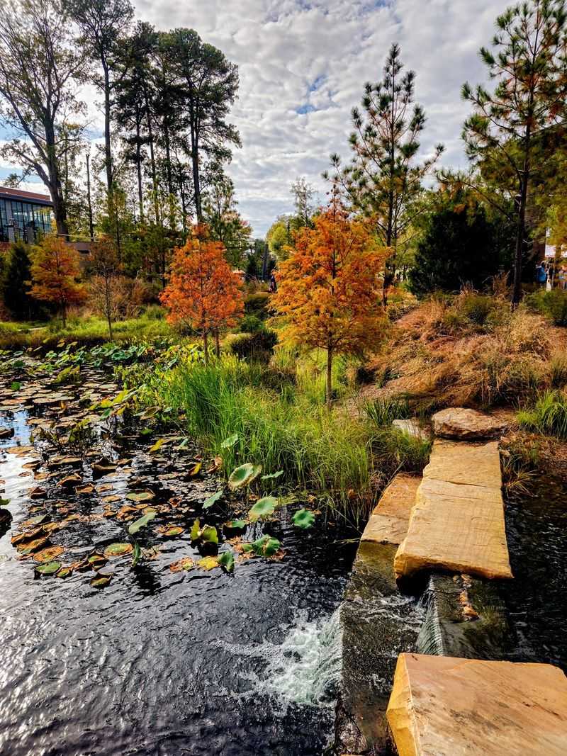 This North Carolina City Could Be The Place Everyone Wants To Move To In 2027 - Decor Hint Spend An Afternoon At The Award-Winning Downtown Park