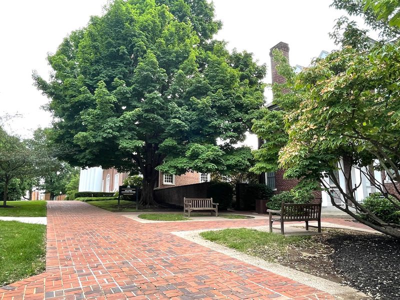 This Kentucky College Just Received A $225 Million Gift From A Mystery Donor - Decor Hint Almost Everyone Lives On Campus, And That Changes Everything