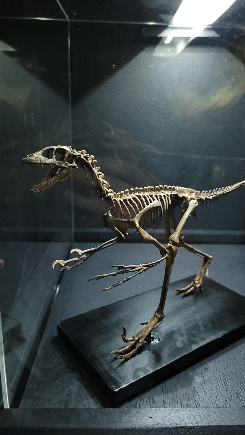 The Famous Faces Every Dino Fan Will Recognize