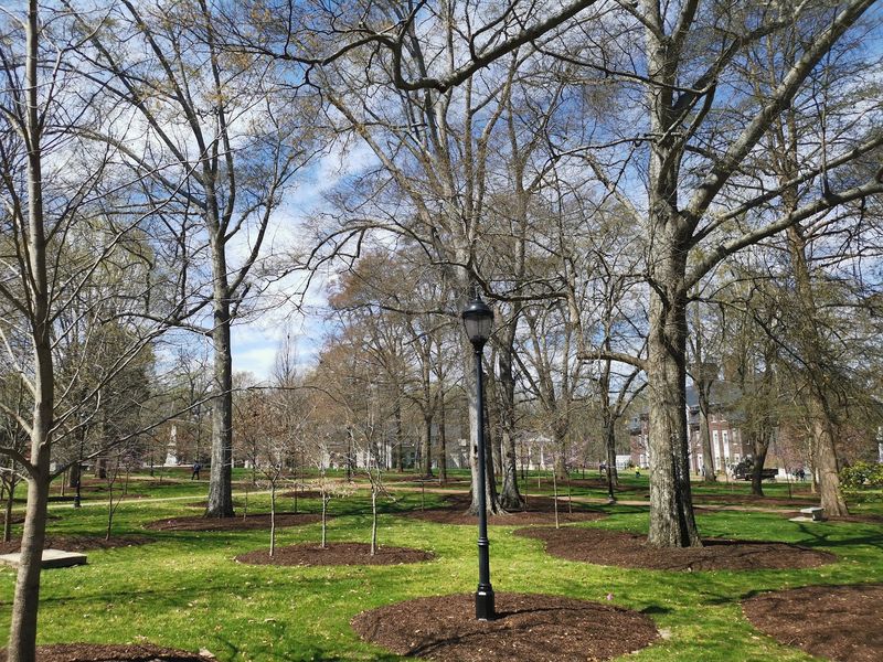 Bring A Hammock, Because The Trees Are Practically Asking For One