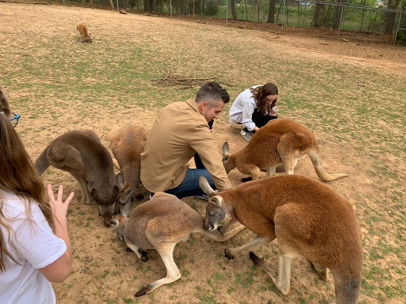 Kentucky Down Under Adventure Zoo