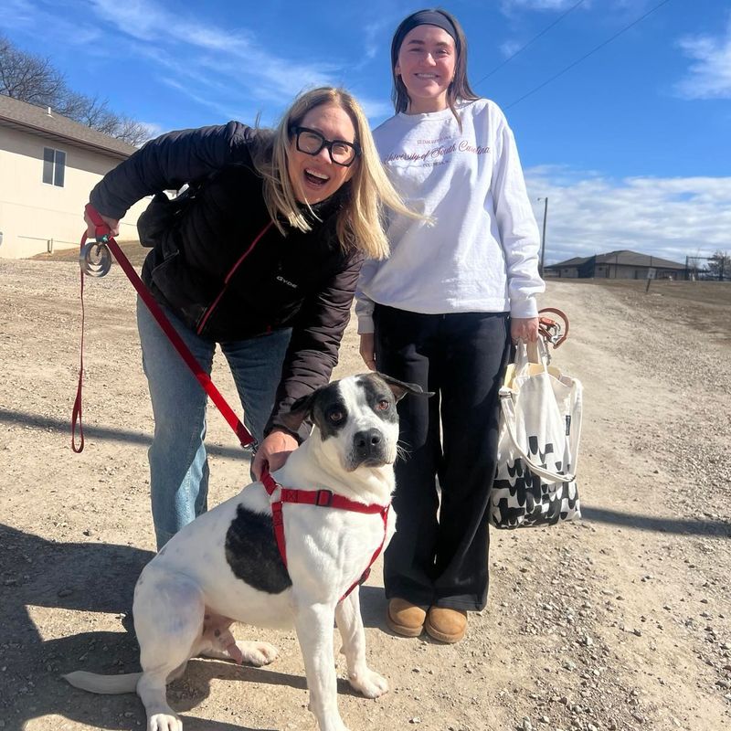 This Nebraska Cat Sanctuary Gives More Than 100 Rescued Cats A Cage-Free Home To Roam - Decor Hint Help That Reaches Pets Already In Loving Homes