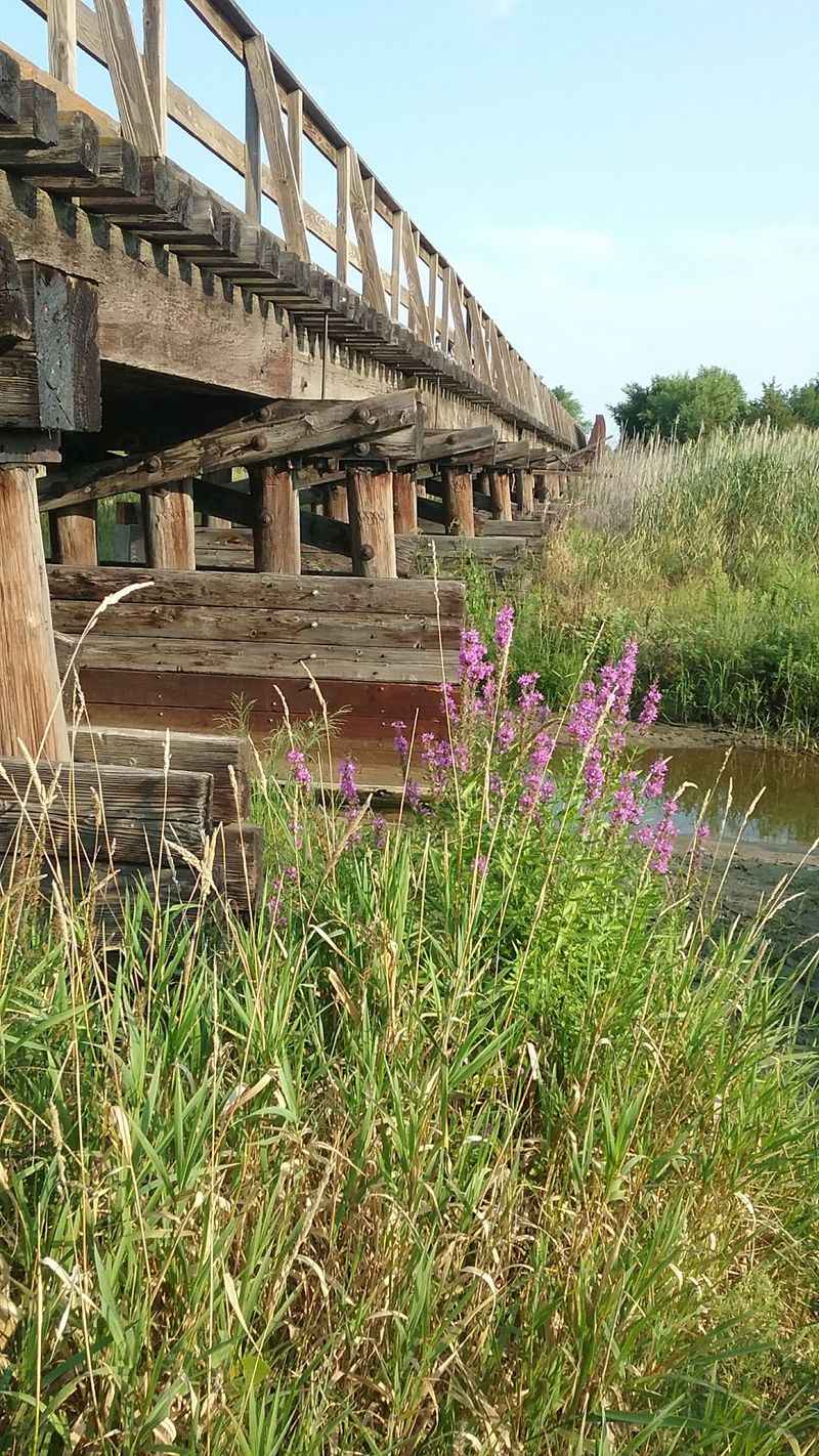 A Long Bridge With A View Of The Braids