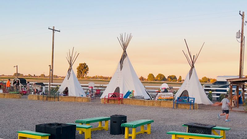 New Sweden Farms Idaho Falls Corn Maze and Pumpkin Patch