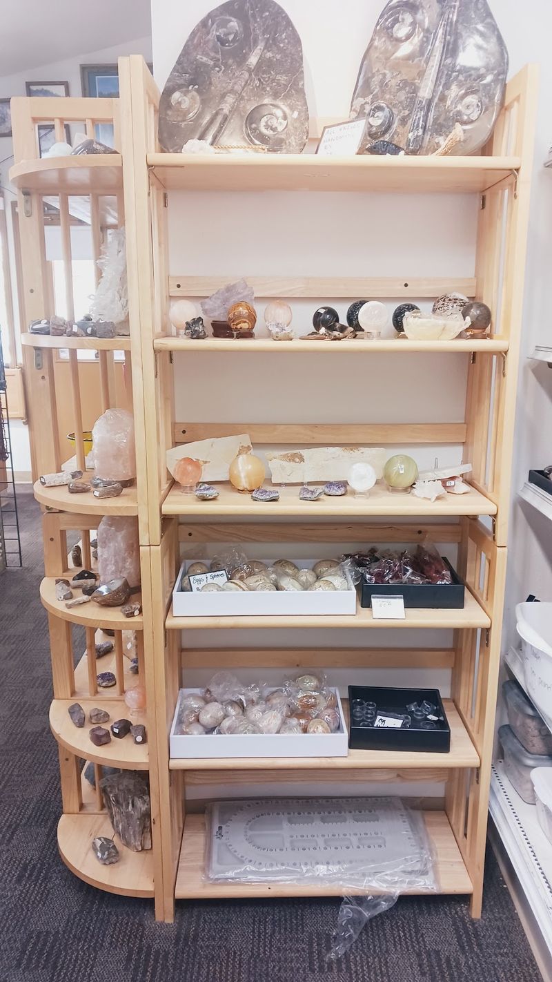 Showroom Shelves Packed With Gems, Fossils, And Pearls