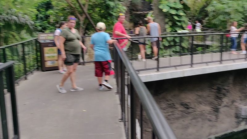 Strollers, Grandparents, And Everyone In Between