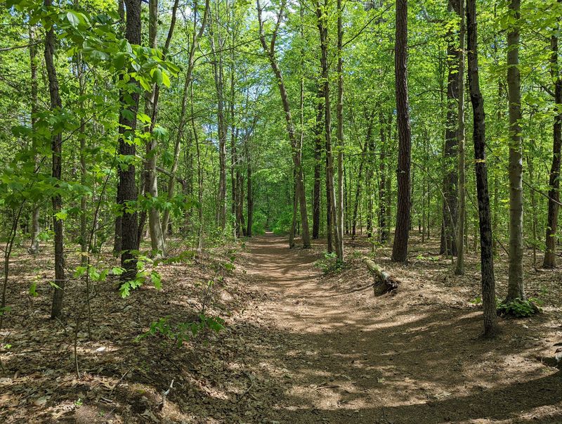River Highlands State Park, Cromwell