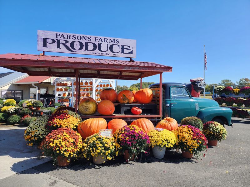 Parsons Farms Produce, Dagsboro