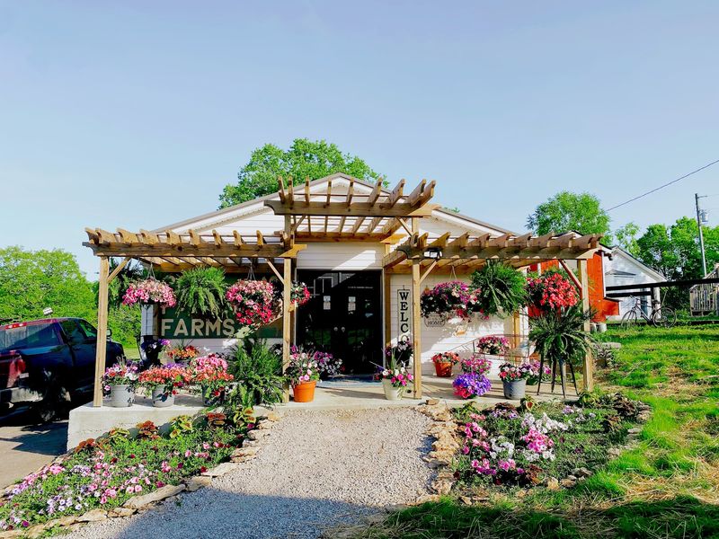 These 10 Kentucky Farms Raise Their Own Beef And Let You Take It Straight Home To Your Table - Decor Hint Pope Family Farms