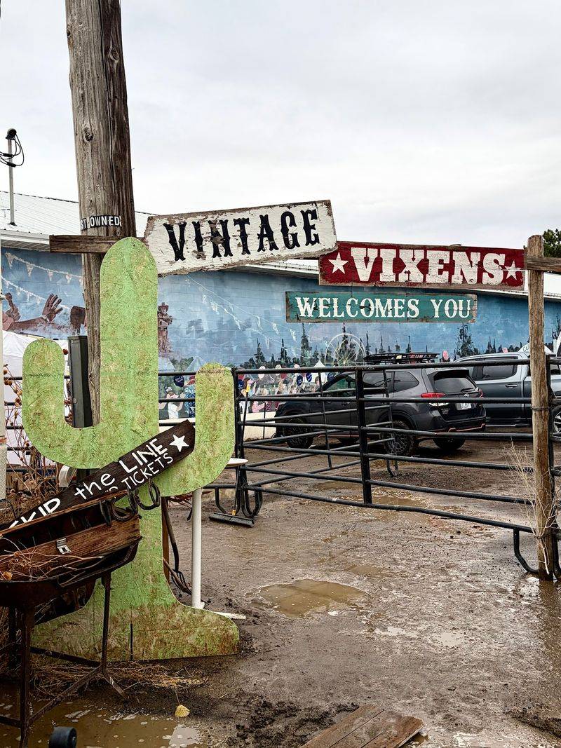 Vintage Vixens Market