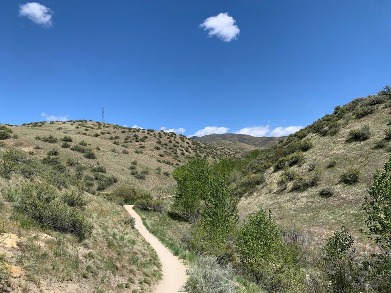 Hulls Gulch Interpretive Trail