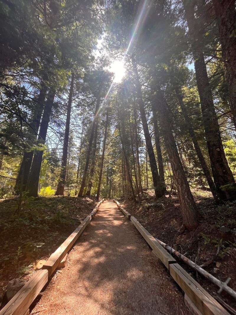 La Pasada Encantada Trail, Cloudcroft