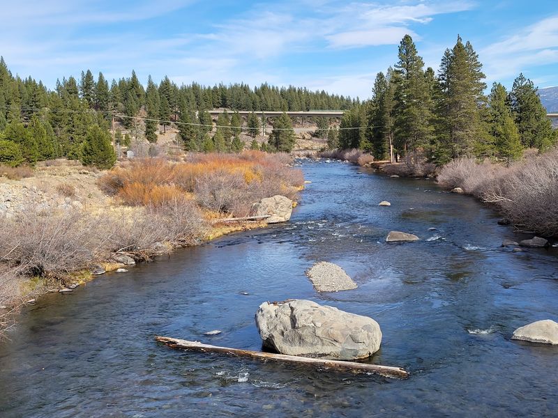 Truckee
