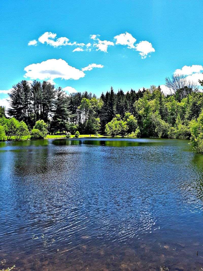 Hamden