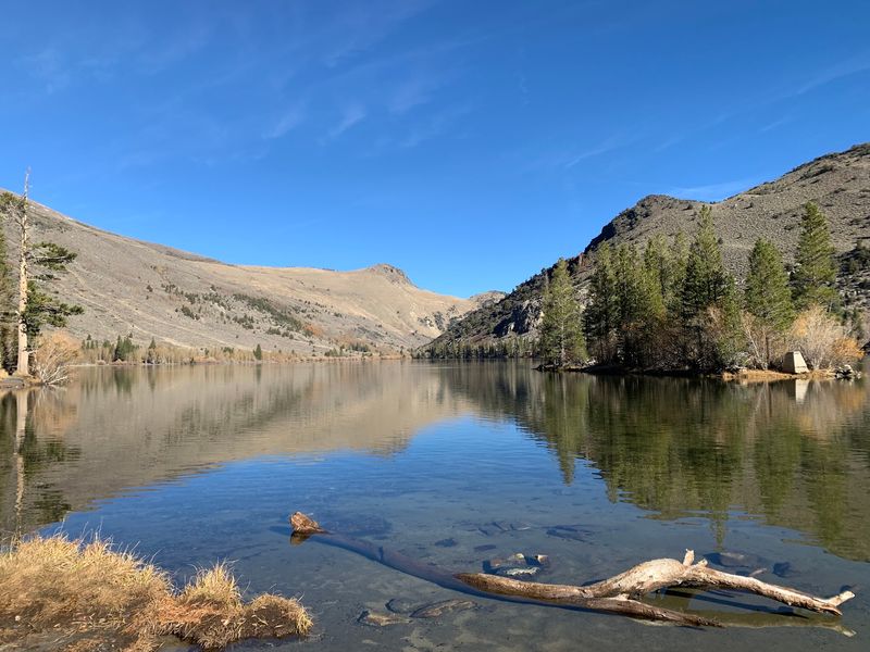 13 California Counties Where Deer Are On The Move During Fall Mating Season - Decor Hint Mono County: The Eastern Sierra Highway