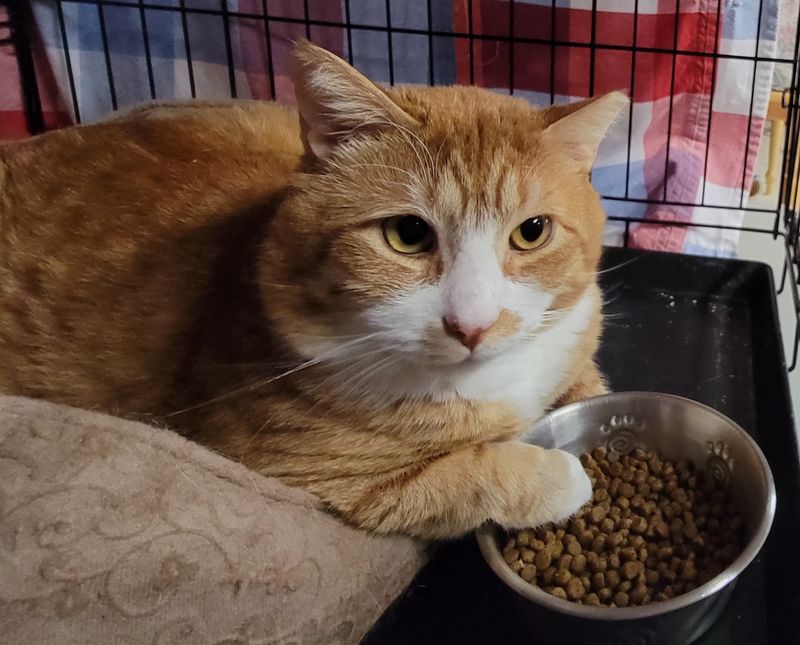 More Than 100 Volunteers Keep The Whole Operation Purring