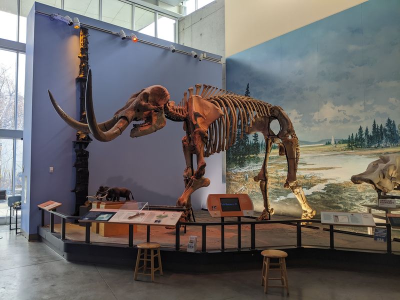 Museum Of The Earth, Ithaca