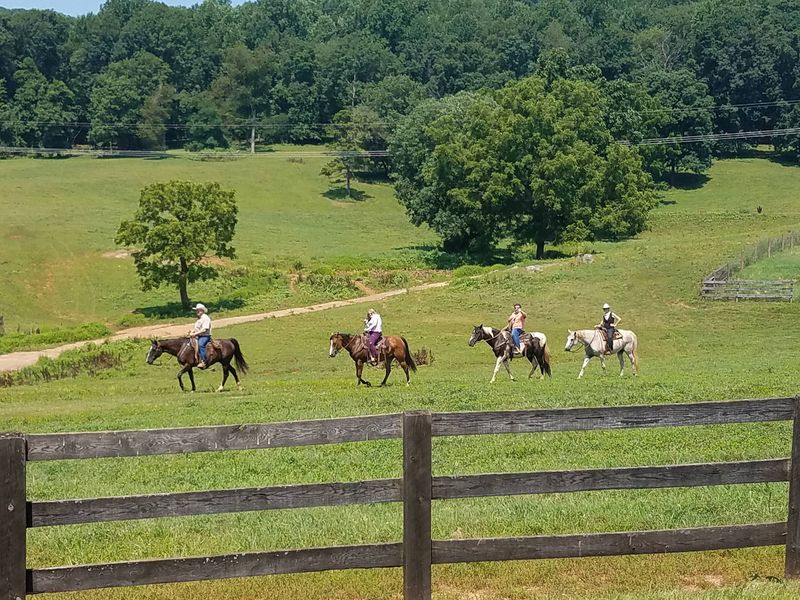 Oakland Heights Farm, Gordonsville