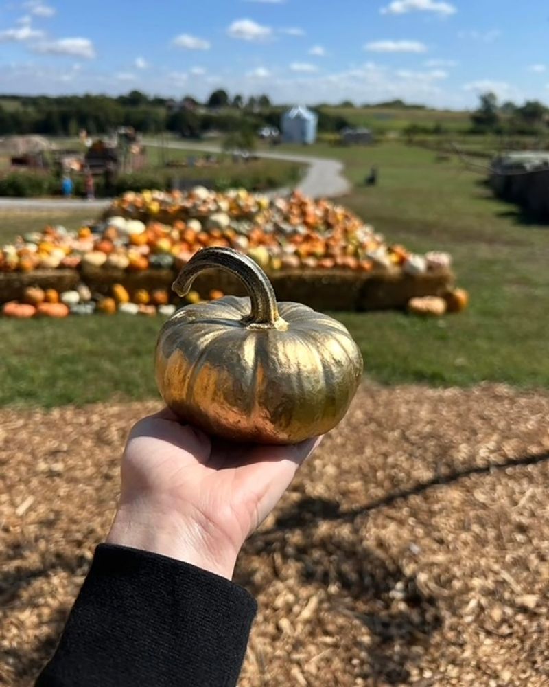 Pearson's Pumpkin Place
