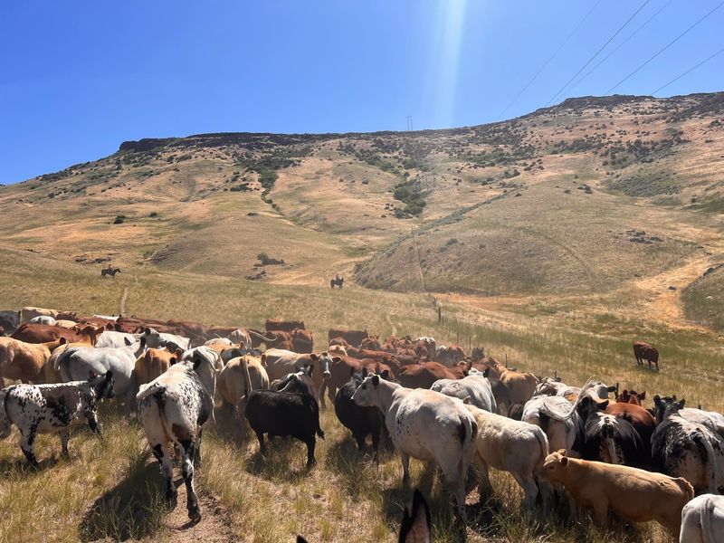 Stack Rock Ranch