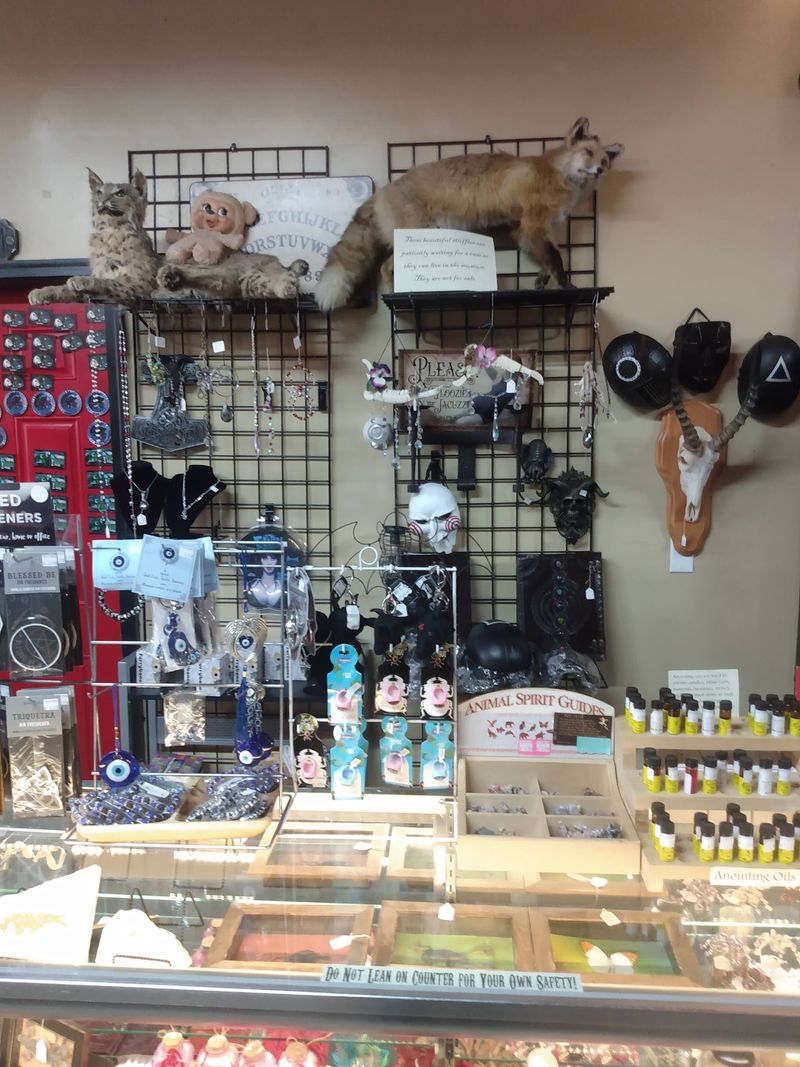 Vampire Busts And Furry Relics