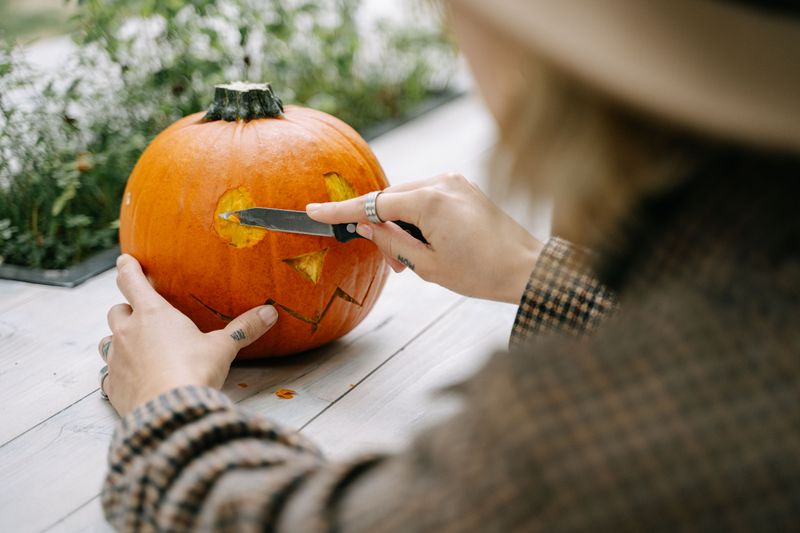 Carve A Pumpkin While The Capybaras Happily Help With The Scraps