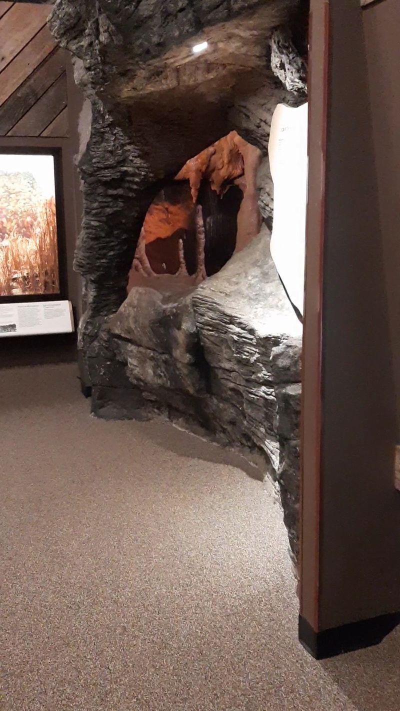 Travel Backward Through Time And Touch The Evidence