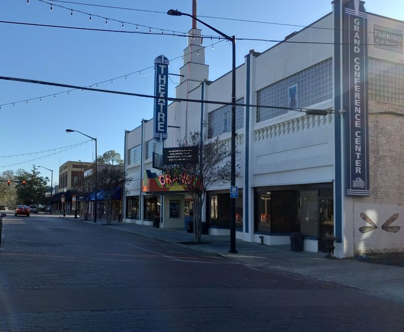This Quirky Georgia Town Has Hundreds Of Wild Chickens Roaming Its Downtown Streets - Decor Hint Small Birds With Big Style