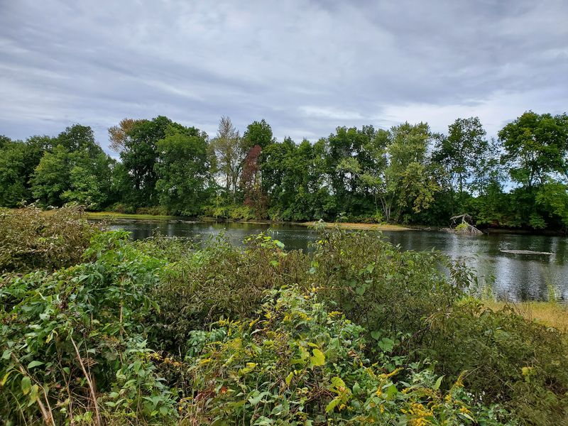 Where Two Rivers Shake Hands