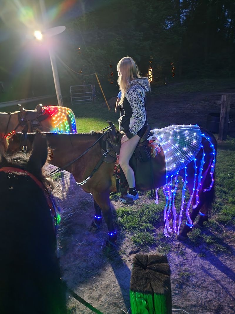 Handcrafted Lights In The Woods