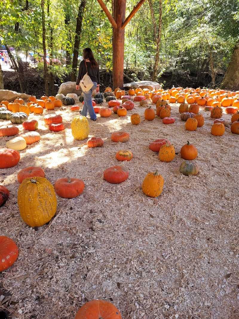 Spooky Nights On The Haunted Trail