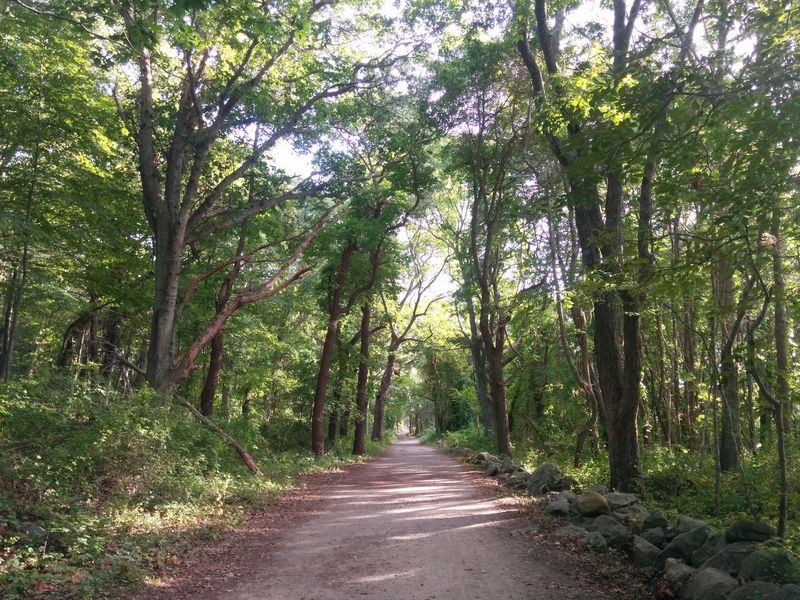 Bluff Point Loop Trail, Groton