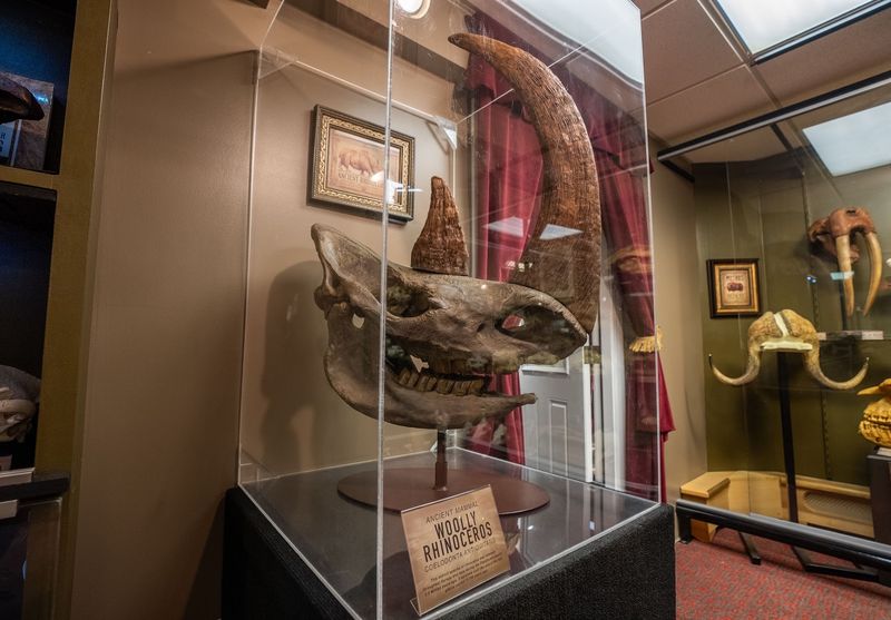 This Michigan Museum Has A Petrified Fairy, Chupacabra Skull, And Thousands Of Strange Little Treasures - Decor Hint Find The Unusual Entrance And Plan Around Weekend Hours