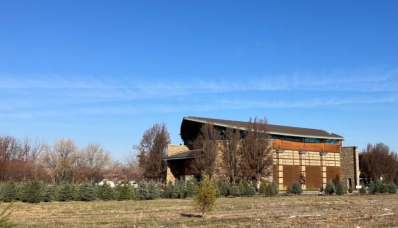 Families Pick Out Their Own Christmas Tree At These 6 Idaho Tree Farms Opening Next Month - Decor Hint Risen Christ Christmas Trees