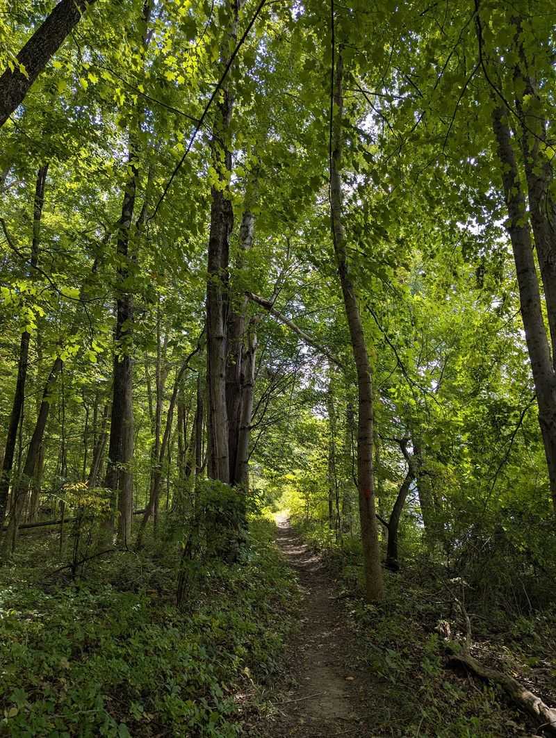 Hurd State Park