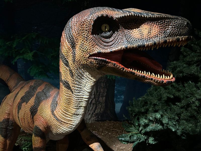 Meet The East Coast Cousin Of T. Rex