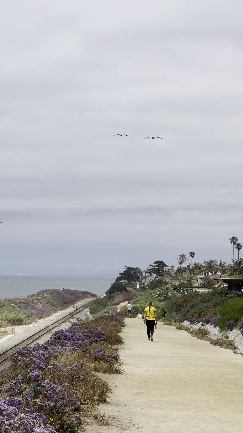 Del Mar: Racetrack Glamour Fades Into Peaceful Bluffs