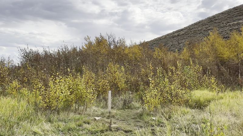 Trails, An Audio Tour, And Mariel Hemingway As Your Guide