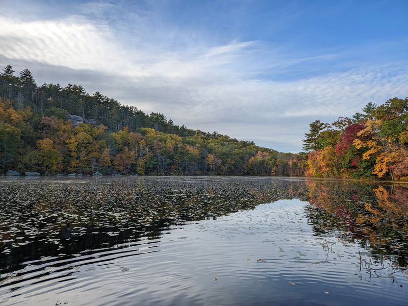 Ross Pond State Park, Killingly