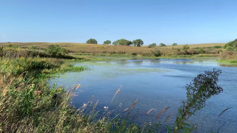 Birders Can Chase Around 235 Recorded Species Here
