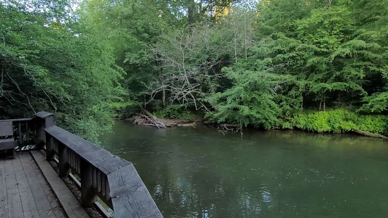 7 First-Come, First-Served Georgia Campgrounds Where You Can Pitch A Tent Without Booking Ahead - Decor Hint Deep Hole Recreation Area
