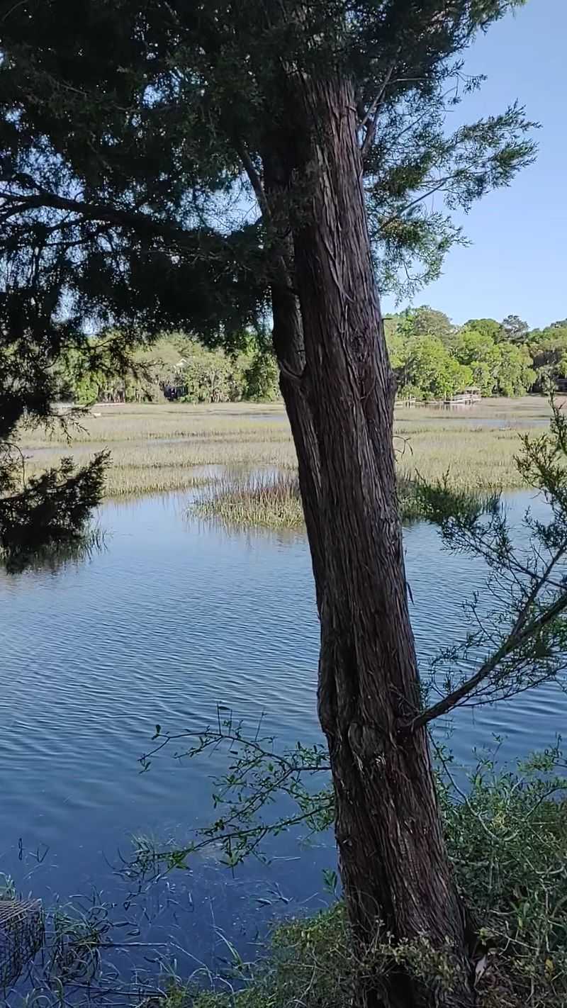 Wadmalaw Island, Charleston County