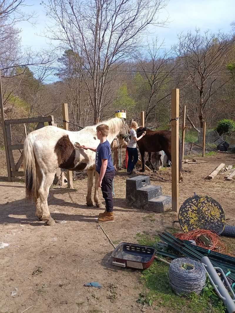 Horses, Bikes, Boats, And Fishing Lines