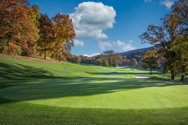 Golf Greens With Old Roots